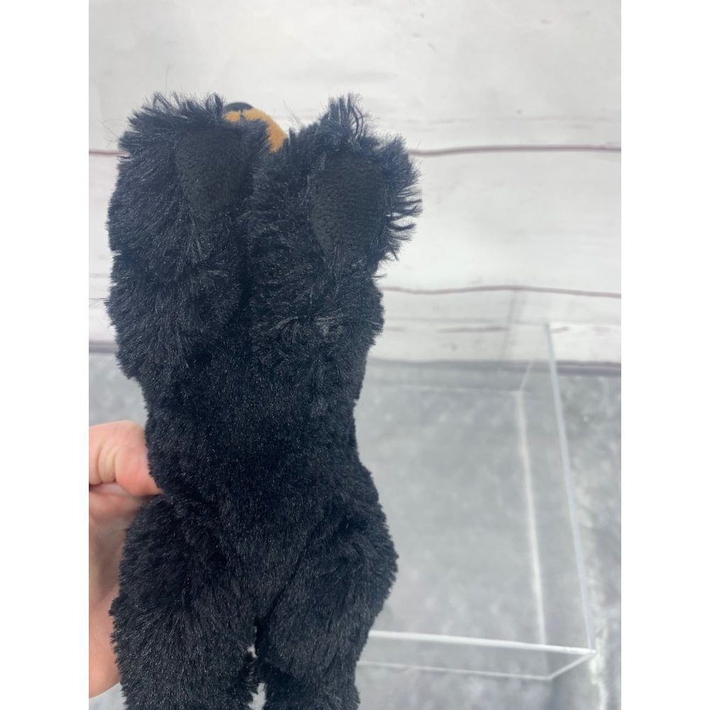 Souvenirs ofโ The Smokies 9 inch Plush Black Bear Toy - Picture 6 of 9